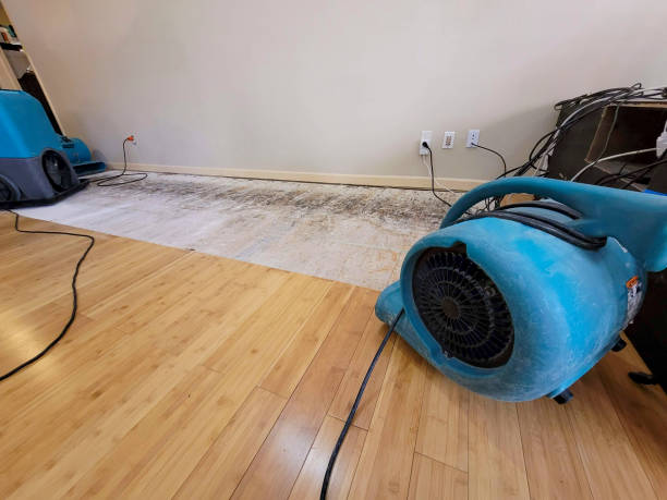Reliable Basement Flood Cleanup contractor in Johnston, RI by Hirex Water Damage