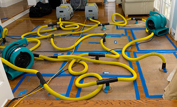 Professional Basement Flood Cleanup technician working in Johnston, RI